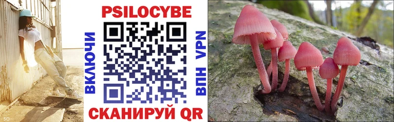 Галлюциногенные грибы мицелий  Купить  Гусев 